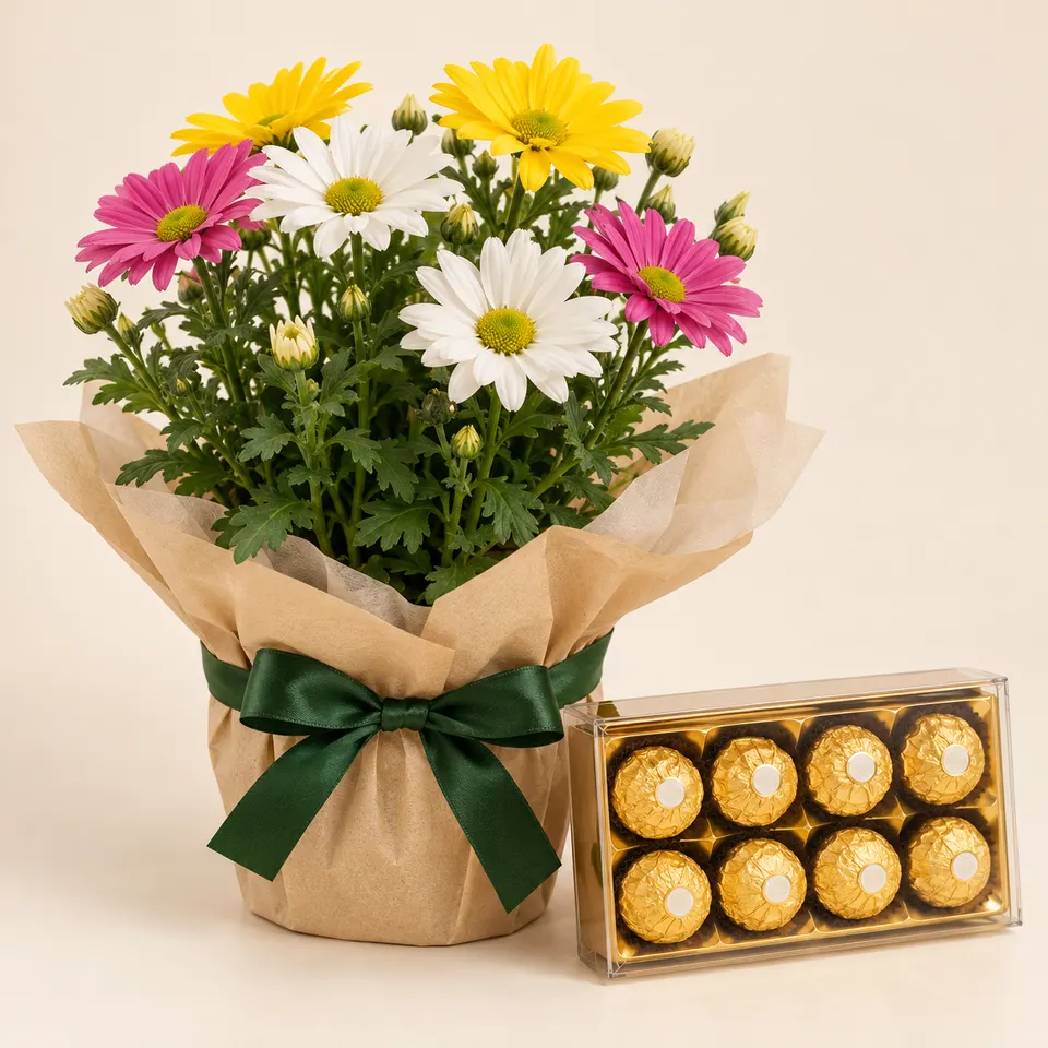 Margarida em cor Variada com Ferrero